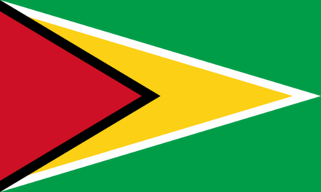 Vlag Guyana - 100x150cm Spun-Poly